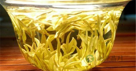 嘴巴长泡用什么药