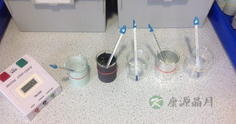 白色念珠菌吃什么药