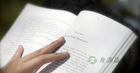 英泰含片价格