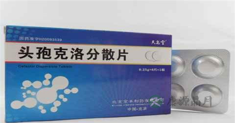 头孢克洛分散片说明书