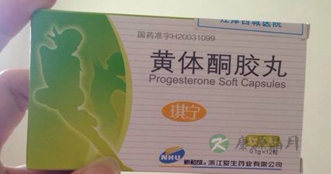 黄酮体是什么