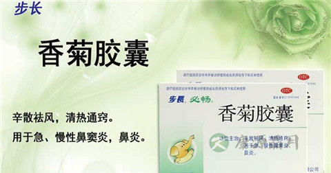 香菊胶囊说明书