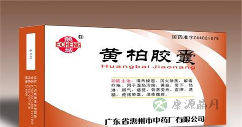 黄柏胶囊说明书