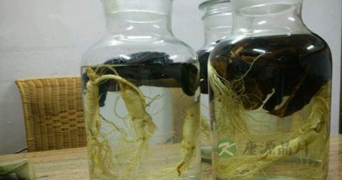 怎样泡药酒