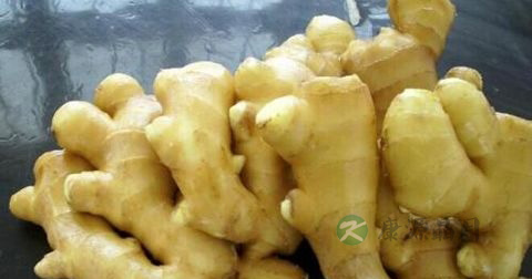 狐臭用什么药最有效果