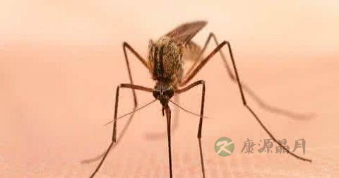 荨麻疹擦什么药