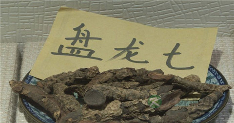 盘龙七片说明书