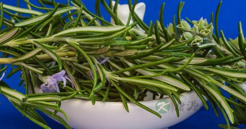 痔苍严重吃什么药好