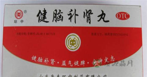 健脑补肾丸说明书