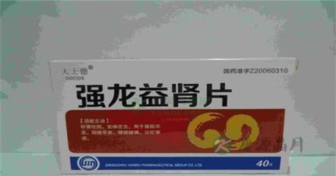 强龙益肾片说明书