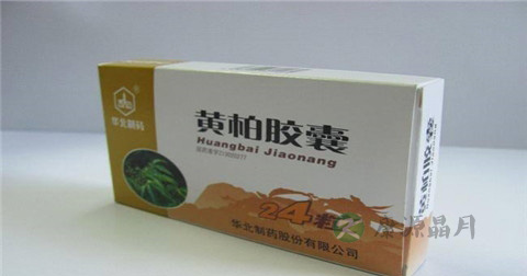 黄柏胶囊说明书