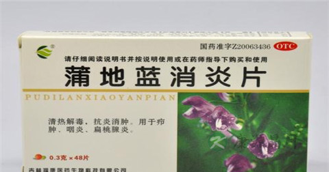 蒲地蓝消炎片说明书