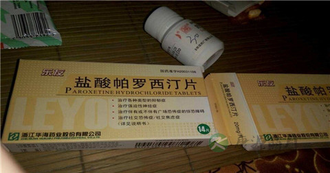 帕罗西汀说明书
