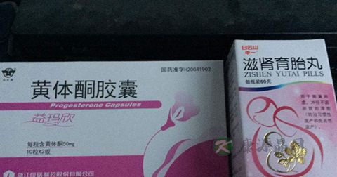 黄酮体是什么