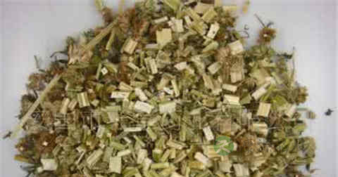 益母草粉可以天天喝吗