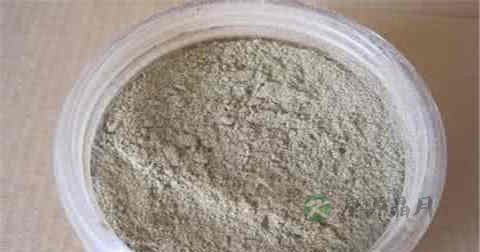 益母草粉可以天天喝吗