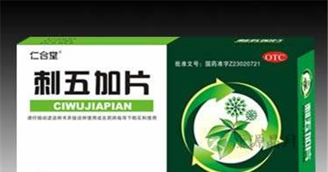 刺五加片的作用