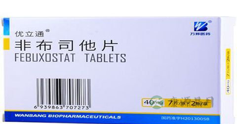 非布司他片说明书