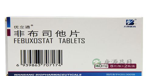 非布司他片说明书