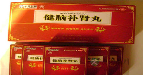 健脑补肾丸说明书