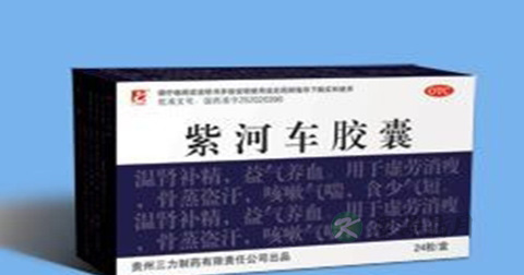紫河车胶囊说明书
