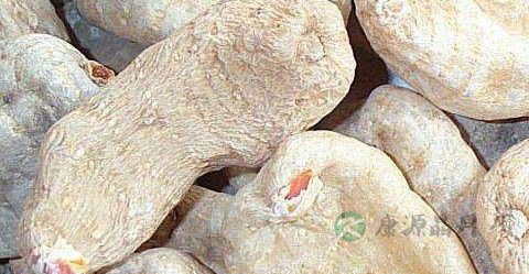 天麻饮片真假鉴别方法