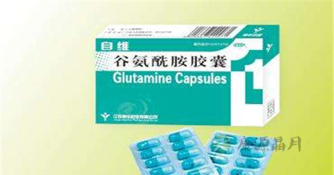 谷氨酰胺的作用