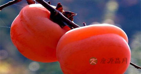痔疮抹什么药最好