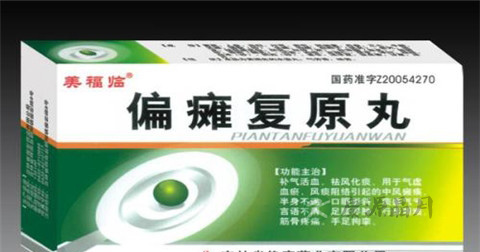 偏瘫复原丸说明书