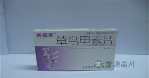 草乌甲素片说明书