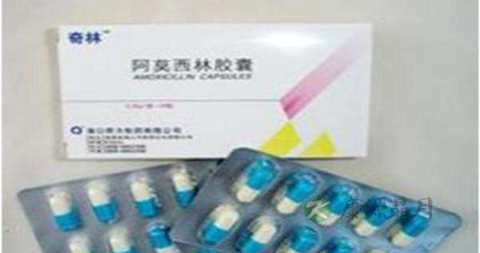 阿莫西林能治毛囊炎吗