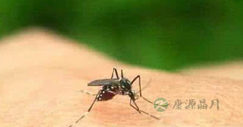 丹毒要忌口吗