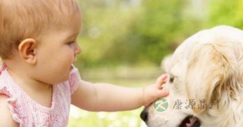 日常生活中怎样预防狂犬病