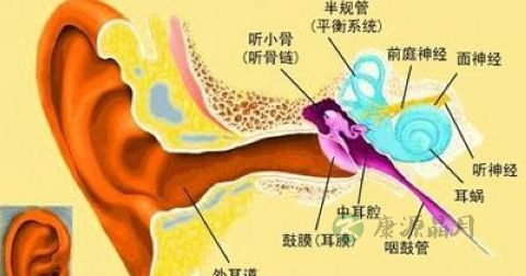 怎样彻底治好霉菌性中耳炎