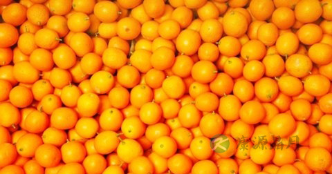 急性扁桃体炎吃什么食物