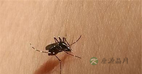 乙脑病毒危害