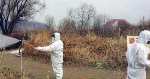 禽流感症状h7n9症状