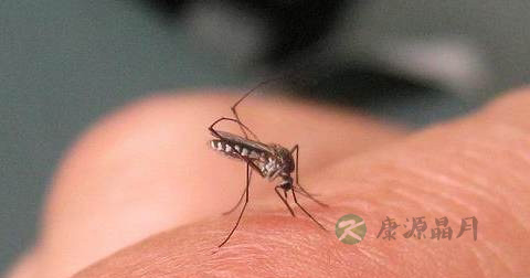 登革热红疹症状怎么治