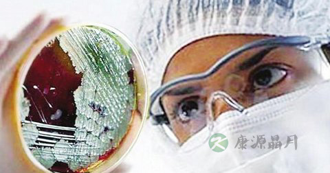 传染病的分类