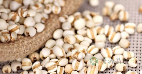 舌苔厚黄吃什么好