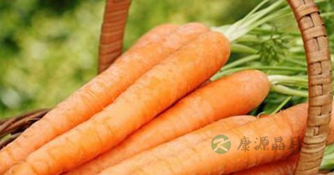 肠胃炎治疗