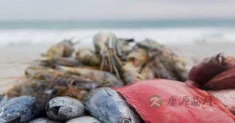 手部湿疹怎么治疗