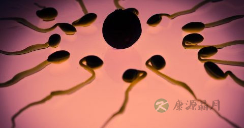 酶免法是什么
