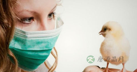 h7n9禽流感防控知识