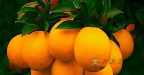 牙龈炎怎么治疗