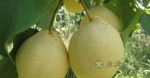 喉咙发炎吃什么药