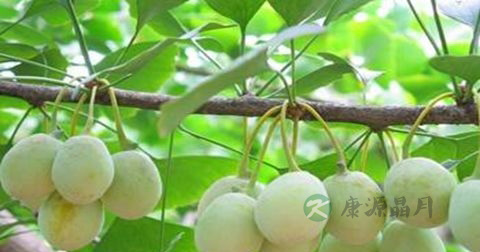 手淫引起的早泄怎么治疗