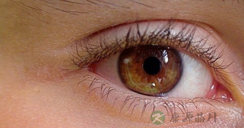 红眼病对视会传染吗