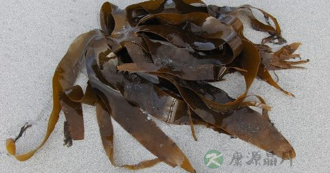 淋巴瘤治疗方法