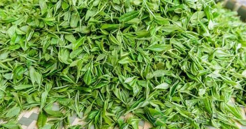 甲沟炎化脓了怎么办